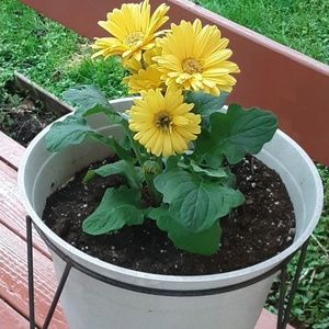 Meet your Posher, Barbara